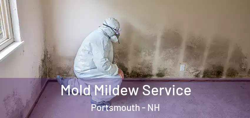  Mold Mildew Service Portsmouth - NH