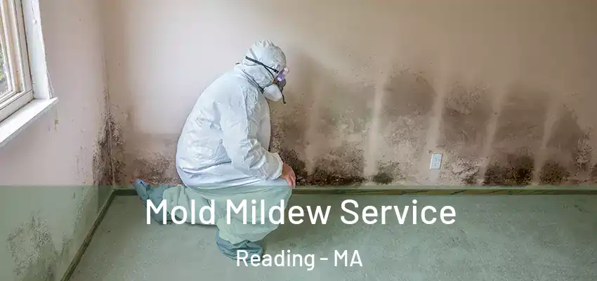 Mold Mildew Service Reading - MA