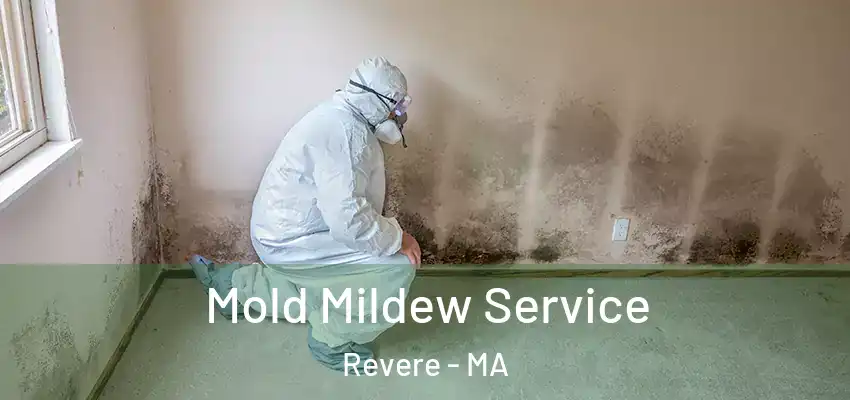 Mold Mildew Service Revere - MA