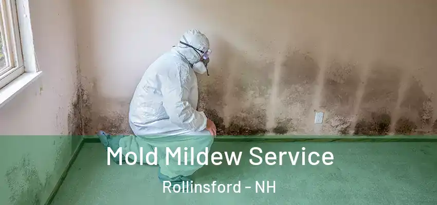  Mold Mildew Service Rollinsford - NH