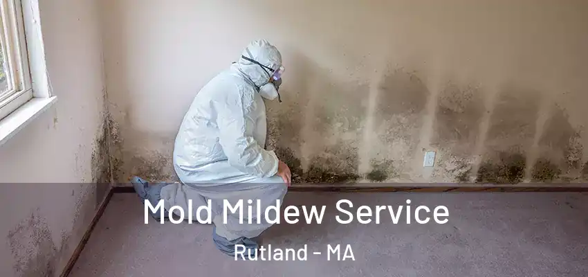  Mold Mildew Service Rutland - MA