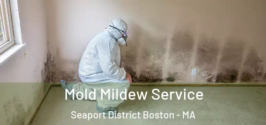 Mold Mildew Service Seaport District Boston - MA