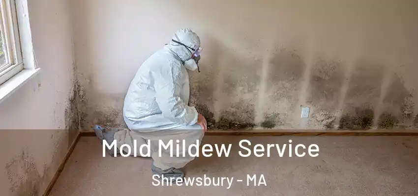  Mold Mildew Service Shrewsbury - MA