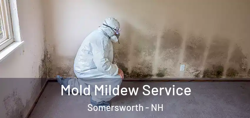 Mold Mildew Service Somersworth - NH