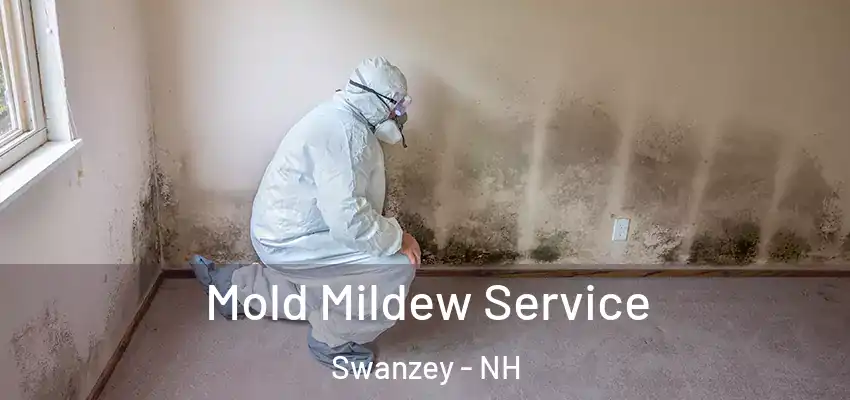 Mold Mildew Service Swanzey - NH