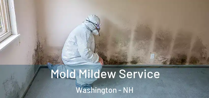 Mold Mildew Service Washington - NH
