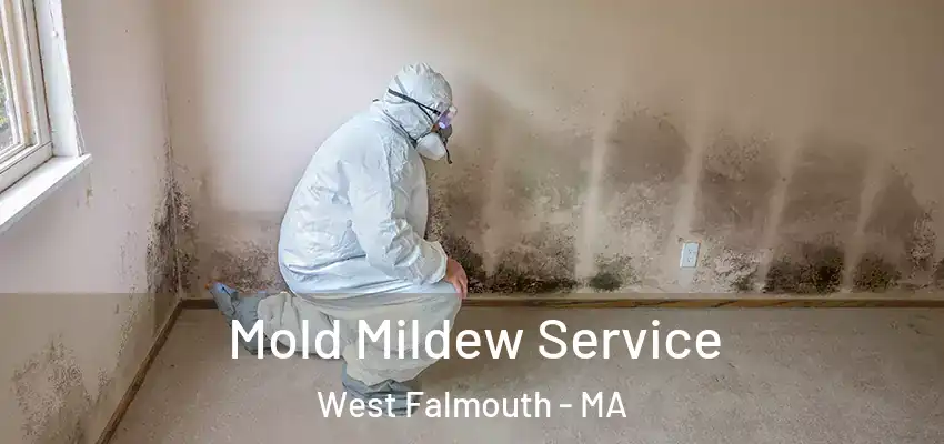 Mold Mildew Service West Falmouth - MA