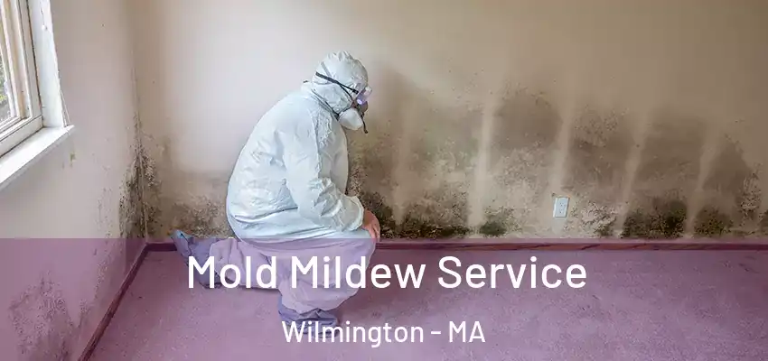 Mold Mildew Service Wilmington - MA