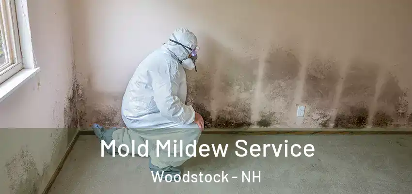  Mold Mildew Service Woodstock - NH