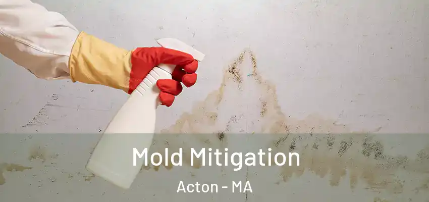 Mold Mitigation Acton - MA