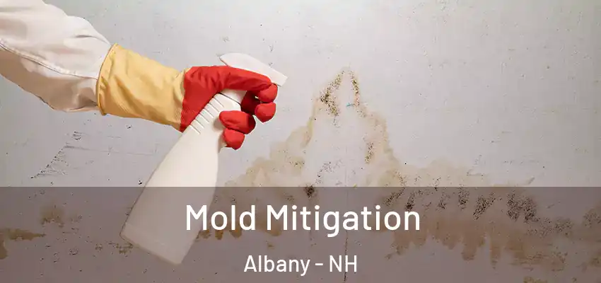 Mold Mitigation Albany - NH