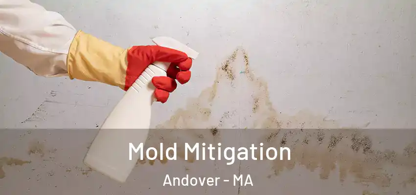 Mold Mitigation Andover - MA