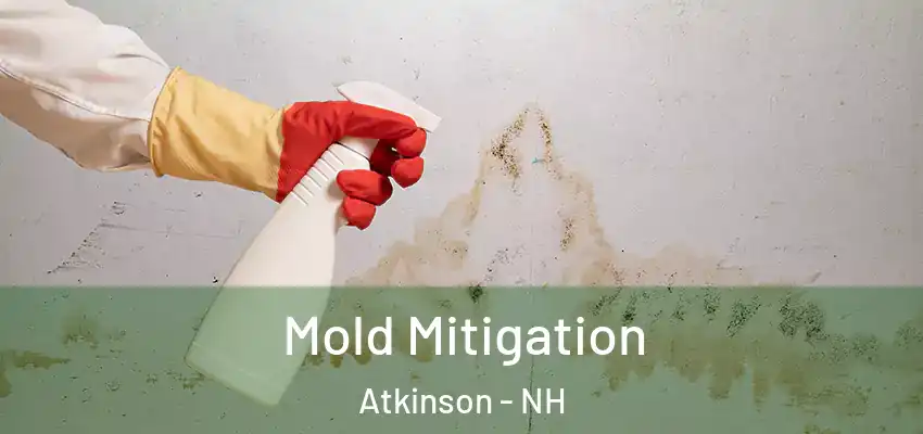 Mold Mitigation Atkinson - NH