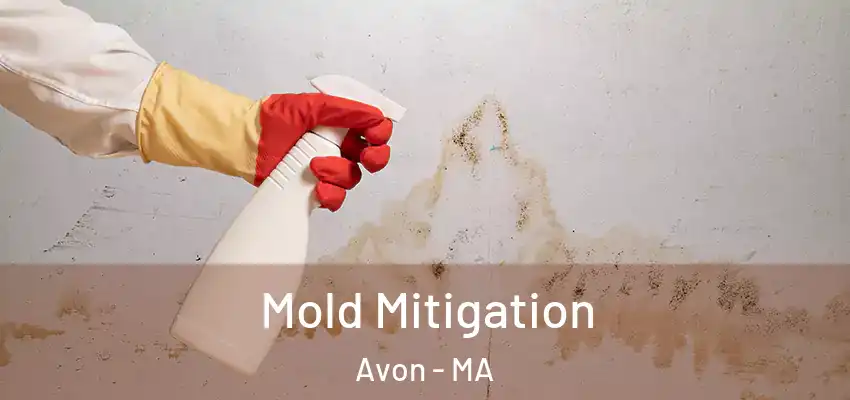 Mold Mitigation Avon - MA