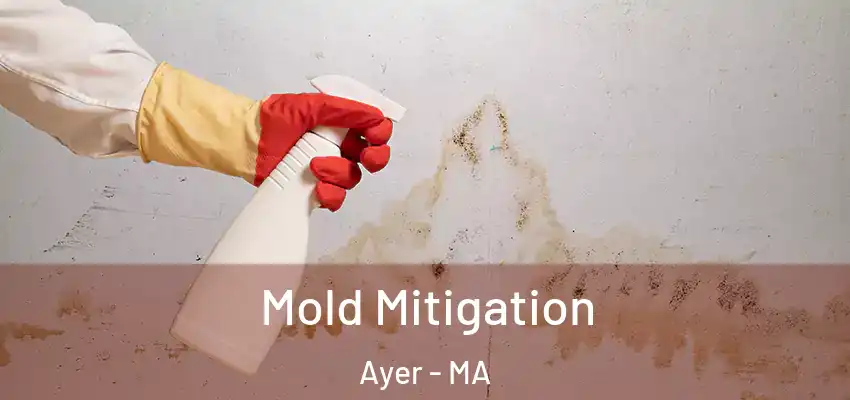  Mold Mitigation Ayer - MA