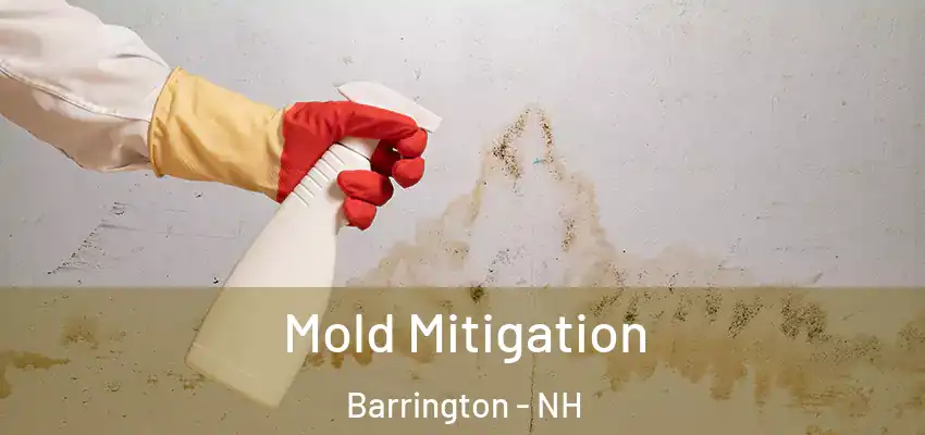 Mold Mitigation Barrington - NH