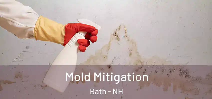  Mold Mitigation Bath - NH