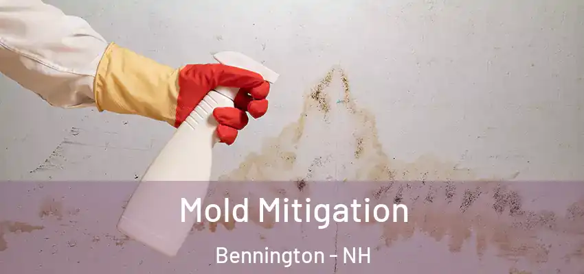  Mold Mitigation Bennington - NH