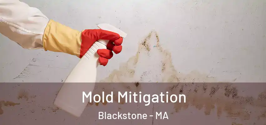 Mold Mitigation Blackstone - MA
