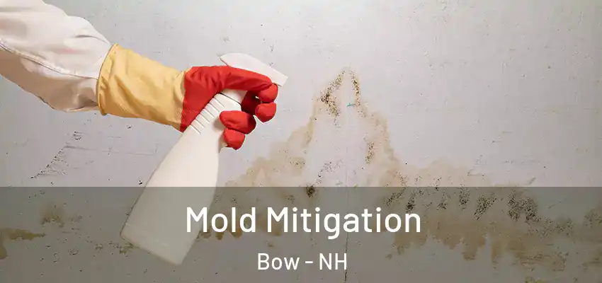  Mold Mitigation Bow - NH