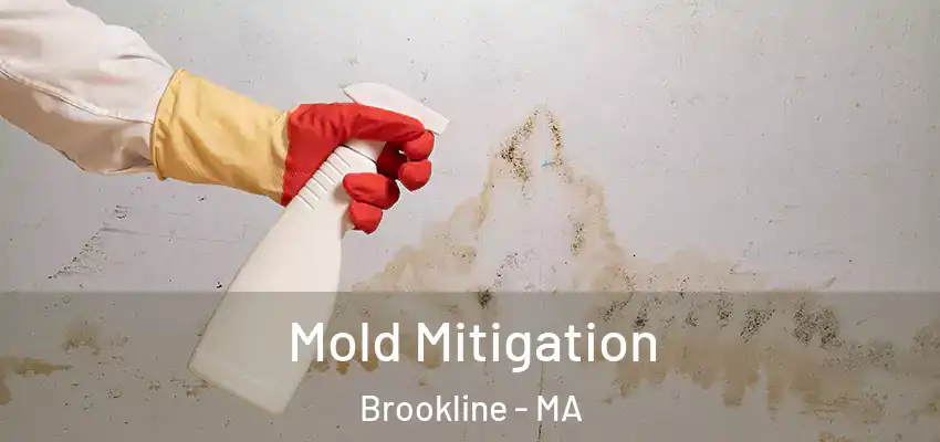  Mold Mitigation Brookline - MA