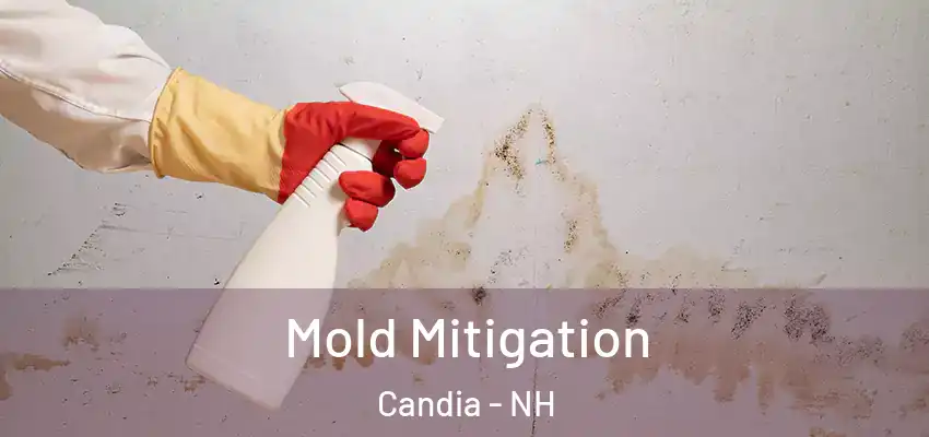 Mold Mitigation Candia - NH