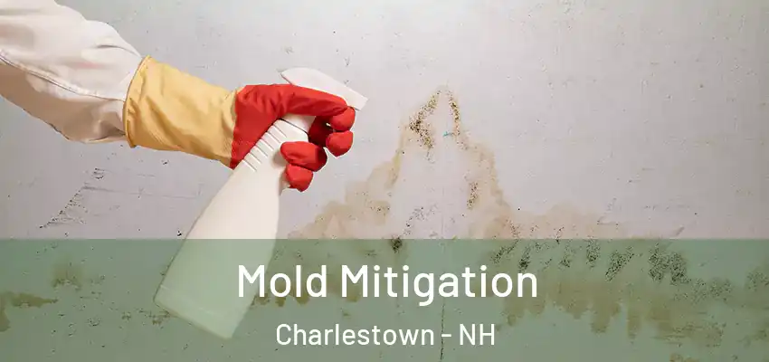 Mold Mitigation Charlestown - NH