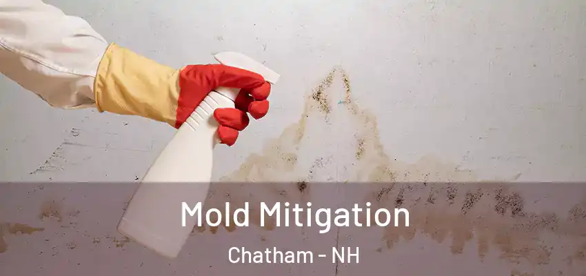 Mold Mitigation Chatham - NH