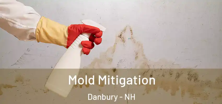 Mold Mitigation Danbury - NH