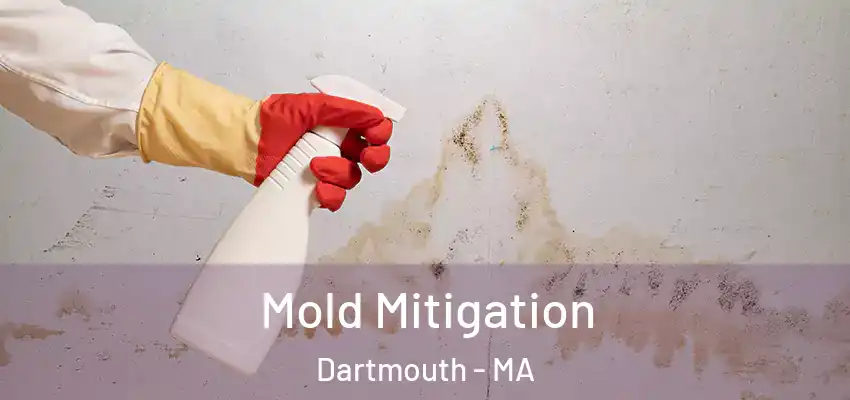 Mold Mitigation Dartmouth - MA
