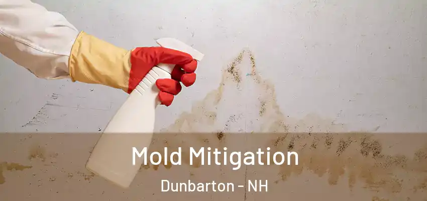 Mold Mitigation Dunbarton - NH
