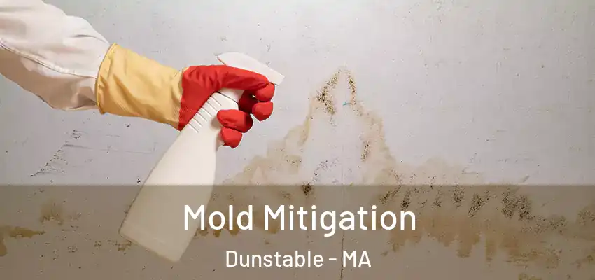  Mold Mitigation Dunstable - MA