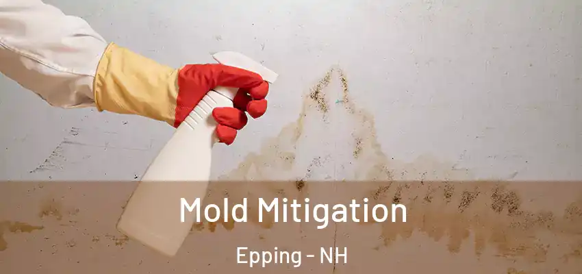  Mold Mitigation Epping - NH