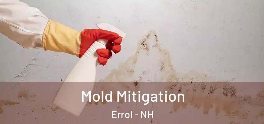 Mold Mitigation Errol - NH