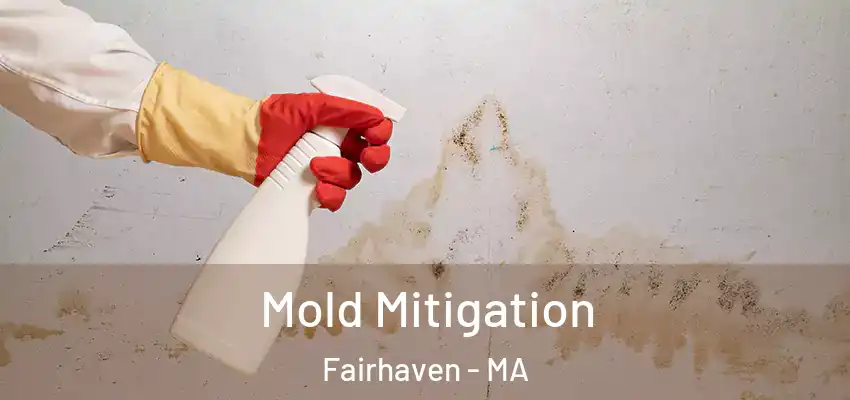  Mold Mitigation Fairhaven - MA