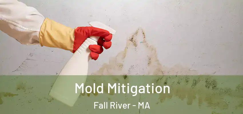  Mold Mitigation Fall River - MA
