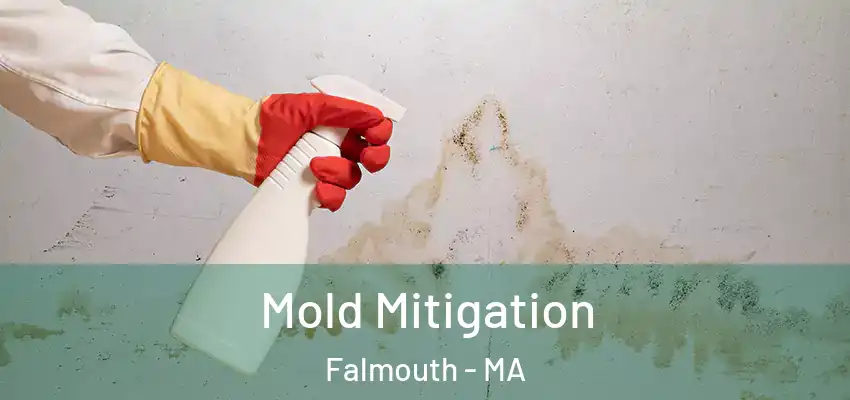 Mold Mitigation Falmouth - MA