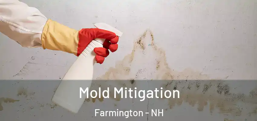 Mold Mitigation Farmington - NH