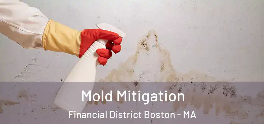 Mold Mitigation Financial District Boston - MA