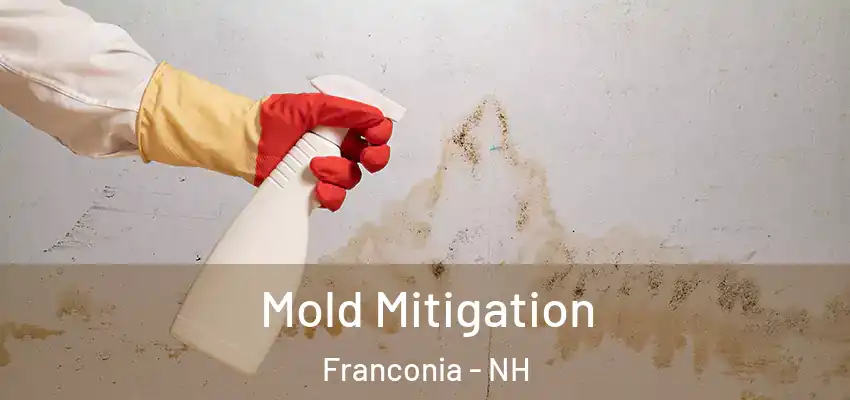 Mold Mitigation Franconia - NH