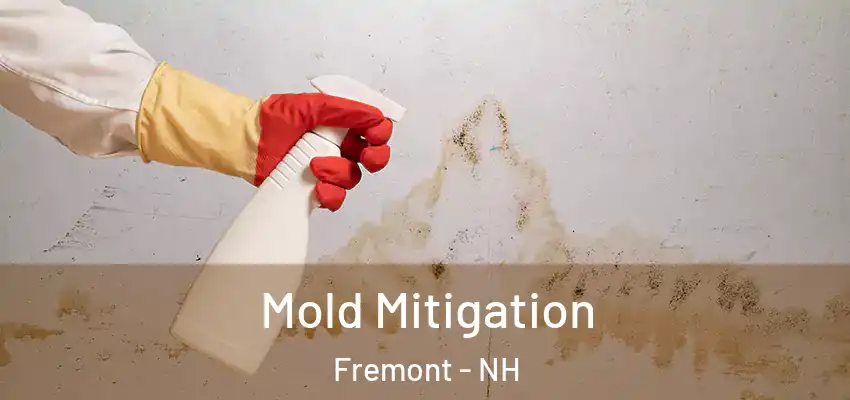 Mold Mitigation Fremont - NH