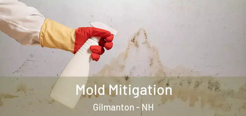 Mold Mitigation Gilmanton - NH