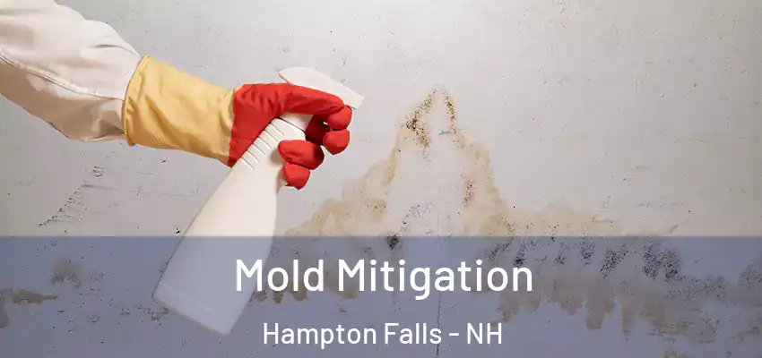  Mold Mitigation Hampton Falls - NH