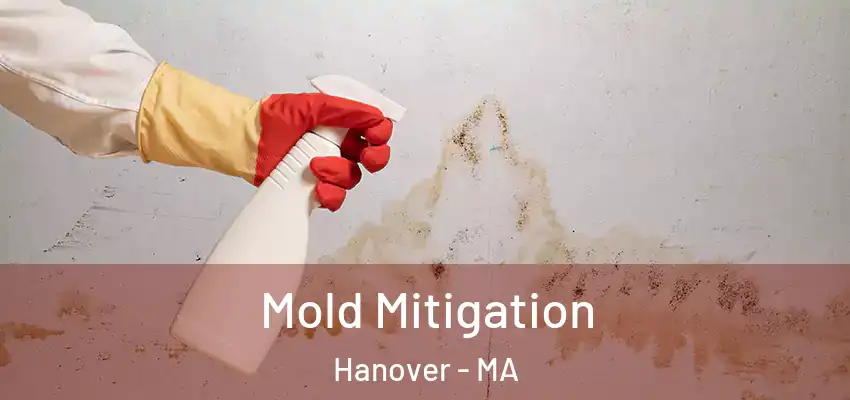  Mold Mitigation Hanover - MA