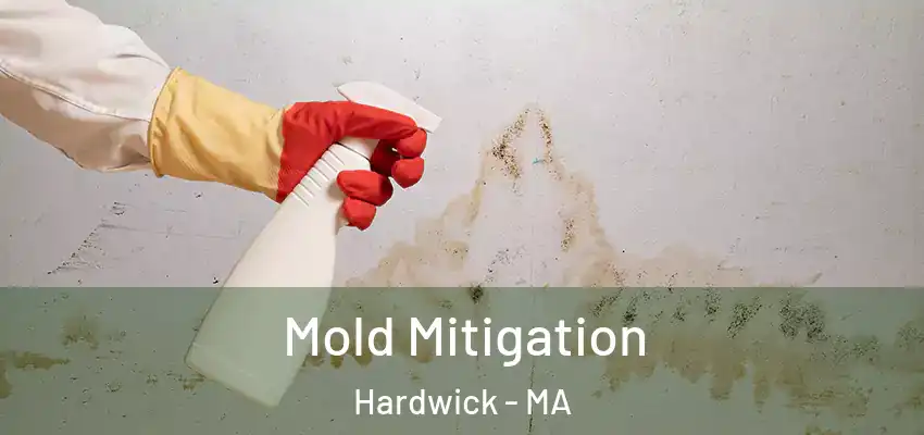  Mold Mitigation Hardwick - MA