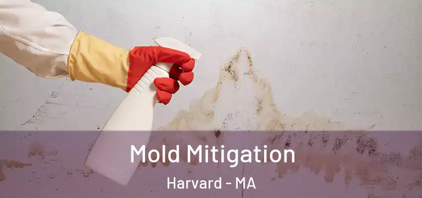  Mold Mitigation Harvard - MA
