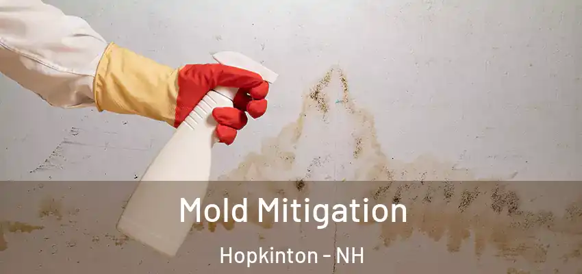 Mold Mitigation Hopkinton - NH