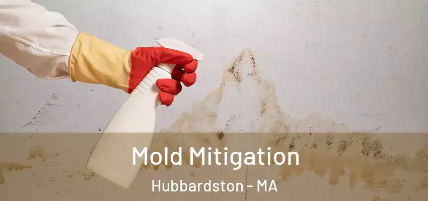 Mold Mitigation Hubbardston - MA