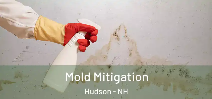 Mold Mitigation Hudson - NH