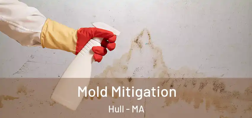  Mold Mitigation Hull - MA